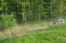 Quad Biking Adventure Krakow