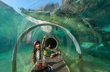 Go City: Miami Explorer Pass