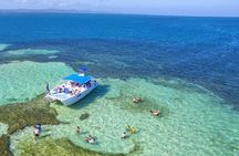 Samana Full Day