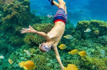 Cozumel Catamaran Experience with Snorkeling & Beach Club