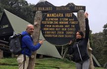 Kilimanjaro Day Hike