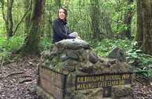 Kilimanjaro Day Hike