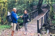 Kilimanjaro Day Hike