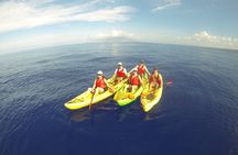 South Maui Kayak and Snorkel Tour