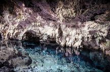 Dolphin Tour; Kuza Cave Tour; Paje Beach; The Rock Restaurant; Jozani Forest 