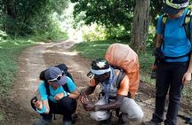 6 Days Machame Route