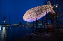 Amsterdam: Luxury Light Festival Cruise Unlimited Drinks Included