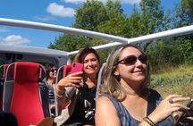 Open Top Van!! Half Day in Chianti with Wine Tasting