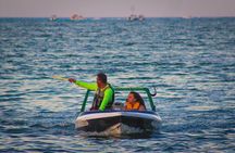 Cancun Speedboat with Crocodile Watching Jungle Tours Adventure