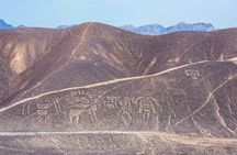 The Nazca Lines, Paracas & Huacachina Oasis (2D/1N) Private Trip