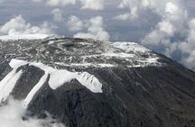 1 Day: Hiking Majestic Kilimanjaro