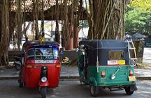 Tuk Tuk tour