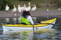 4-Hour Morning Kayak on Yellowstone Lake with Lunch
