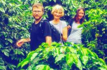 Coffee Express Tour Medellin