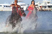 Enjoy 2 Hours Horse Ride, Parasailing & semi-submarine- Hurghada 