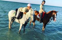 Enjoy 2 Hours Horse Ride, Parasailing & semi-submarine- Hurghada 