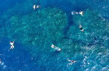 Small Group Snorkeling Expedition South Kona