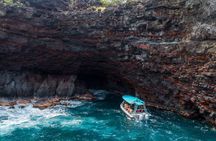 Small Group Snorkeling Expedition South Kona