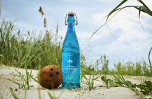 Taste of Caribbean Culture and Rum Factory Tour