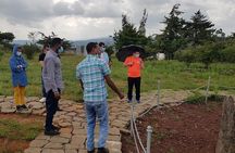 Day-Trip Church of Adadi Mariam from Addis Ababa