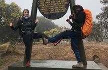  1 Day Kilimanjaro Hiking - Machame Route