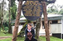  1 Day Kilimanjaro Hiking - Machame Route