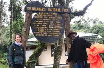  1 Day Kilimanjaro Hiking - Machame Route