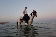 Horse Riding 2 Hours & Relaxation Turkish Bath & Sauna - Hurghada