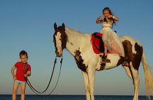 Horse Riding 2 Hours & Relaxation Turkish Bath & Sauna - Hurghada