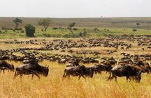 7 Day Grand Tanzania Safari