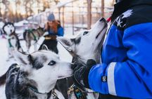 Apukka Snow and Fun, Rovaniemi