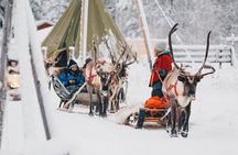 Apukka Reindeer Journey