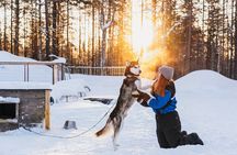 Apukka Husky Adventure in Rovaniemi