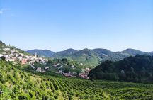Half-Day E-Bike Tour in Prosecco Hills with Prosecco Tasting