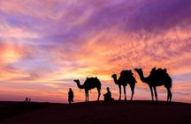 Private Full Day Trip to Wadi Rum Valley of Moon and The Dead Sea from Amman