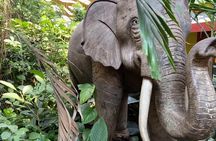 Private Tour to Alexandria Africano Safari Park from Cairo