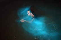 Luminous Lagoon Tour from Montego Bay ( Glistening Waters)