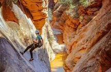 East Zion: Powell's Way Full-Day Canyoneering