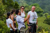 Arenal Volcano Naturalistic hike