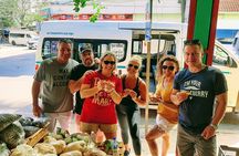 Puerto Morelos Foodie Tour, Mexico in every bite!
