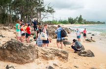 Oahu's Cheapest Circle Island Tour