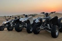 Desert Safari W/BBQ Dinner, Quad Bike, Camel Ride, & Sandboarding