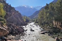 Atlas Mountains Half-Day Tour From Marrakech