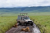 3-Day Safari to Serengeti, Ngorongoro and 1-Day Kilimanjaro Hike