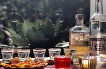 Traditional Mezcal Tasting VIP Experience Cancun Playa or Tulum
