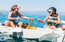 Original La Jolla Sea Cave Kayak Tour for Two