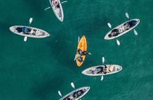 Original La Jolla Sea Cave Kayak Tour for Two