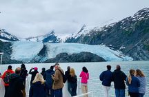 Valley of Glaciers Experience with Portage Glacier Cruise and Wildlife Tour