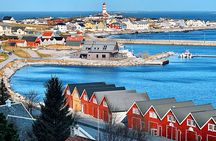 Alesund Sightseeing tour Vikings islands by minibus, 4 hours. Private tour