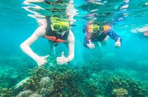 Full-Day Cruise of Koh Nang Yuan and Koh Tao From Koh Samui